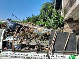 Best Recycling Services for Junk  in Bristol, VA